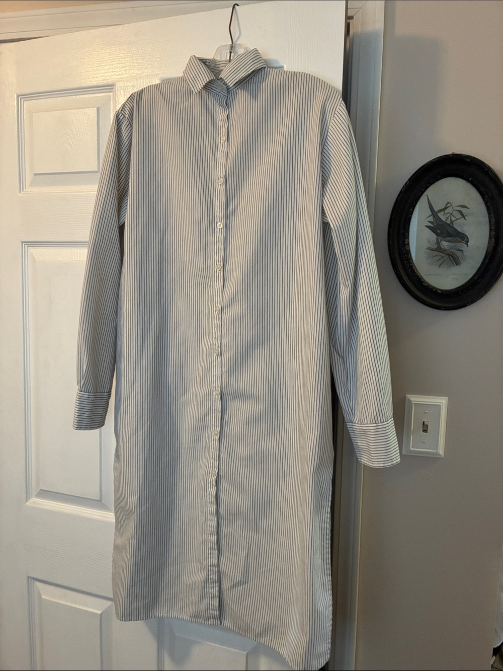 Urban Renewal Women's Long Button-Down Shirt Dress - White & Blue Pinstripe